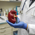 Causes of Renal Artery Stenosis