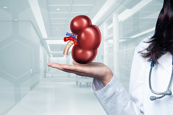 Understanding Nephrotic Syndrome: Symptoms, Treatment, and Lifestyle Changes